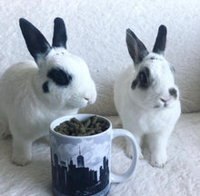 Load image into Gallery viewer, FiDi Mug 11oz